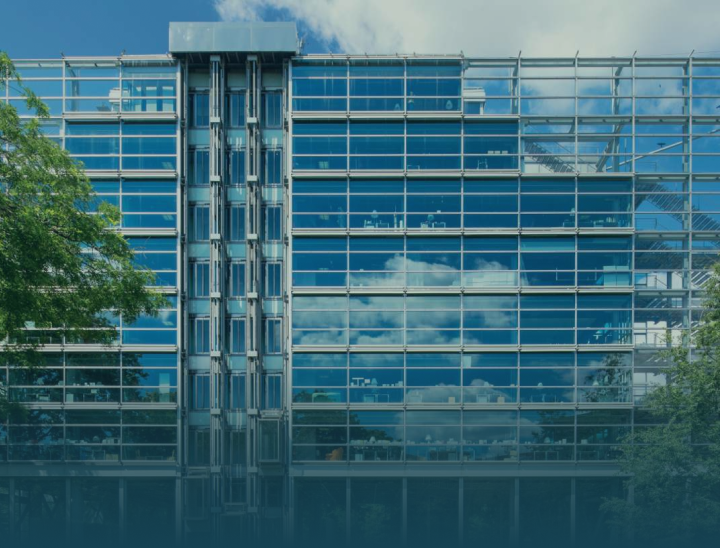 image fondation Cartier